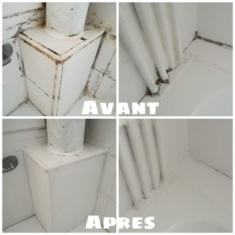 AGO - Set de 4 pièces anti-moisissure - Concentré de haute qualité pour  éliminer les moisissures rapidement et durablement dans votre maison.AGO  Anti-moisissure et Stop moisissure - un super duo! : 