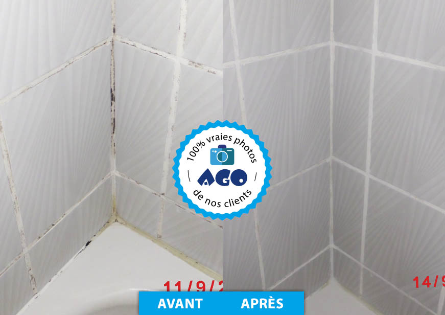 AGO 500 ml anti-moisissure avec pinceau-produit actif et le plus